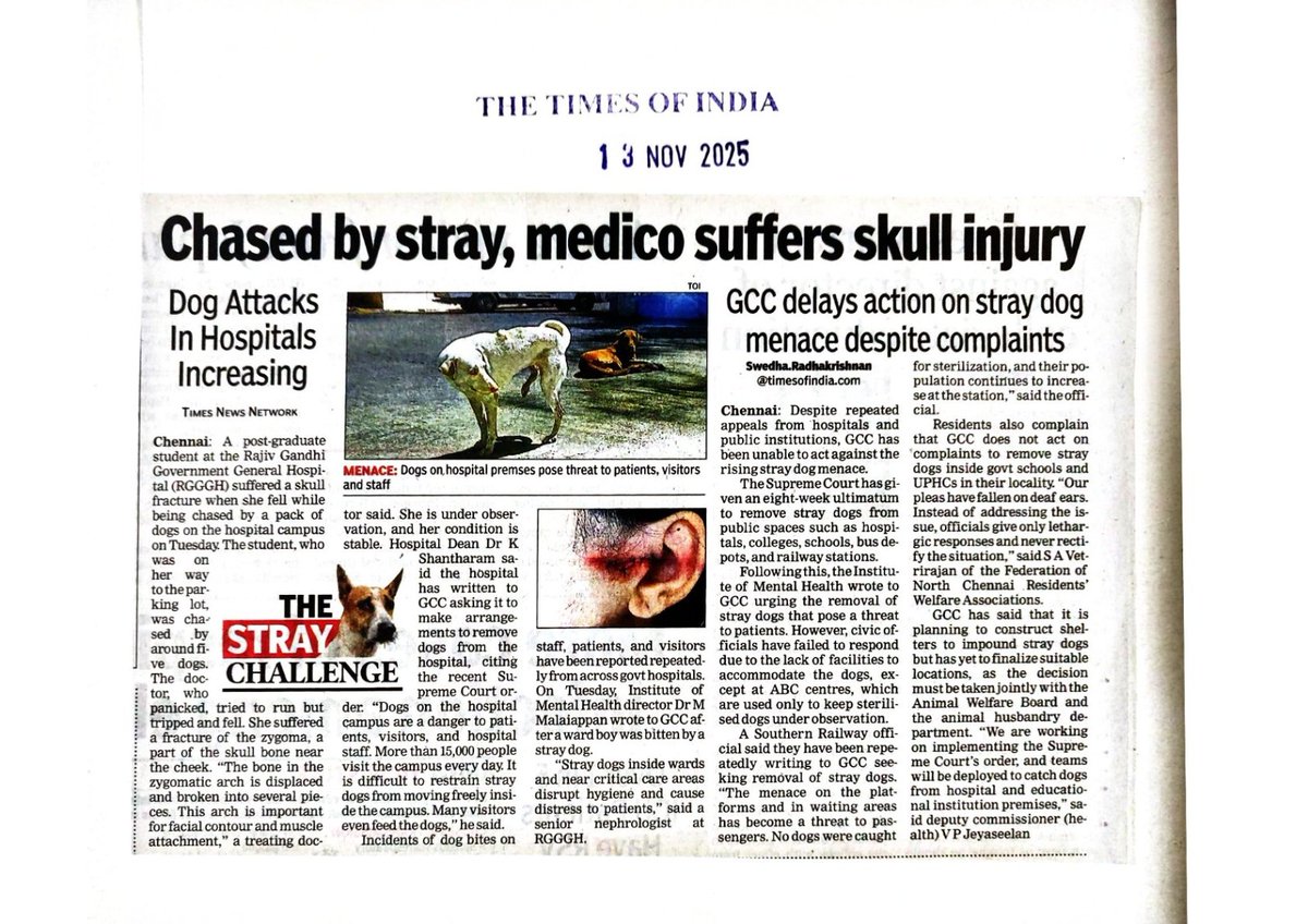 Navneeth47's tweet photo. URGENT : Stop the Stray Dog menace in Rajiv Gandhi Government General Hospital, Chennai.

@CMOTamilnadu @Office_of_Udhay @chennaicorp @PriyarajanDMK @kgbias @TNHealthDept @TOIChennai @PTI_News @PttvNewsX @news7tamil @News18TamilNadu @sunnewstamil @polimernews @ThanthiTV https://t.co/PsyMaG9nc6