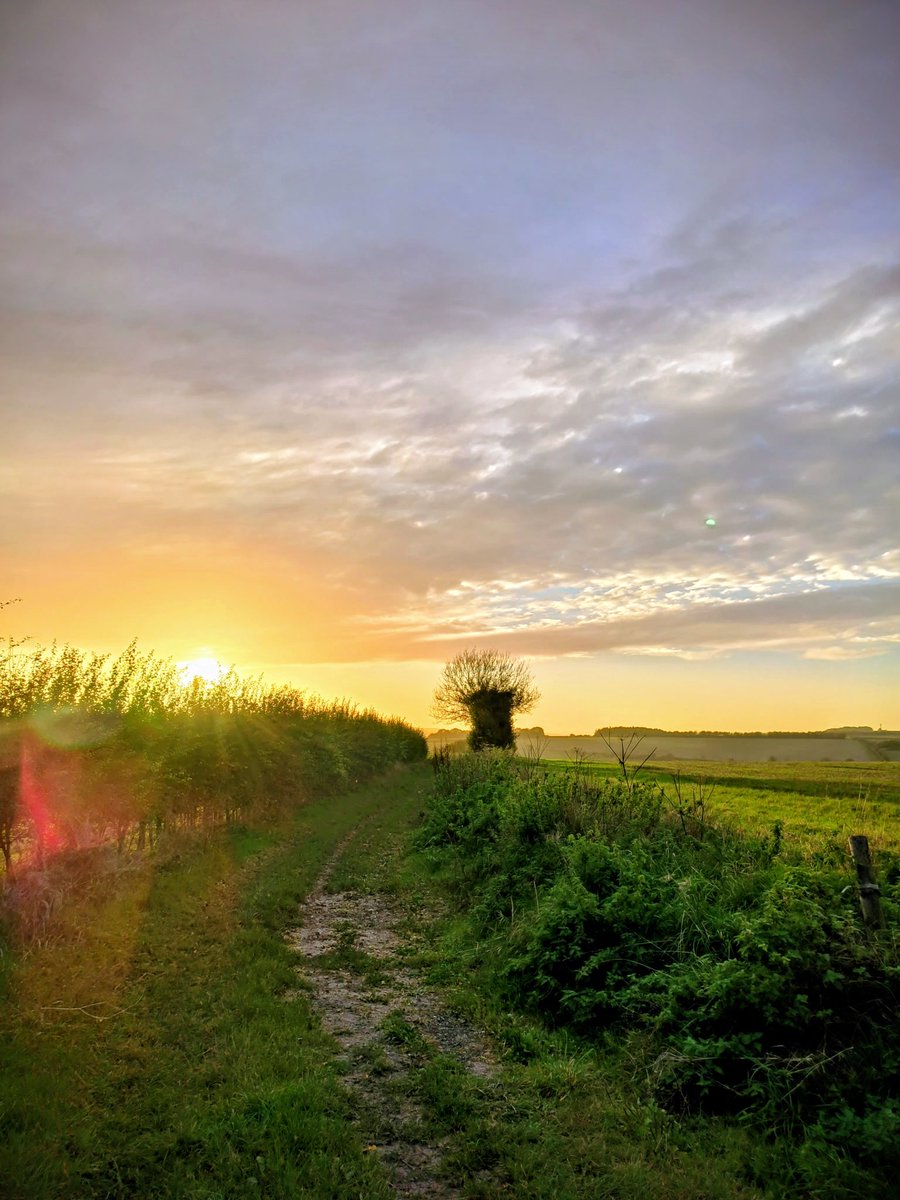 LadyGrace27's tweet image. For years, just names in passing,
Faces in the crowd,
Life kept us near yet apart.
Decades later, a spark, a turn,
And suddenly,
All the years led to this—together...❤️
#AnOde #poetry #love 
#lovers #myman #him #forhim  #together #atlast