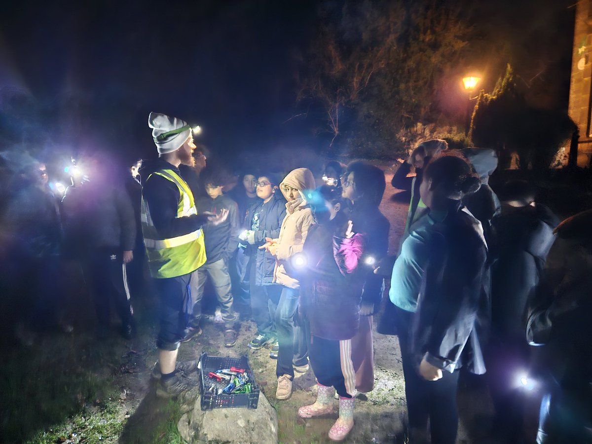 Year616's tweet photo. A night walk in the woods 🌳🌲🌙🌲🌳
@HolyFamilyScho1 https://t.co/BveLS35hXT