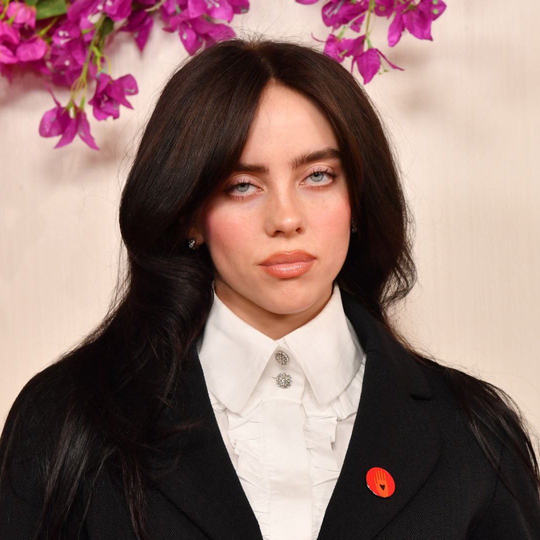 choquei's tweet image. 🚨FAMOSOS: Billie Eilish se manifesta após Elon Musk se tornar o primeiro TRILIONÁRIO do mundo:

“Poderia reconstruir Gaza, acabar com a fome, salvar espécies de animais ameaçadas, eliminar mortes por maternidade e curar doenças mas prefere ser um covarde patético filho da p*ta.&quot;