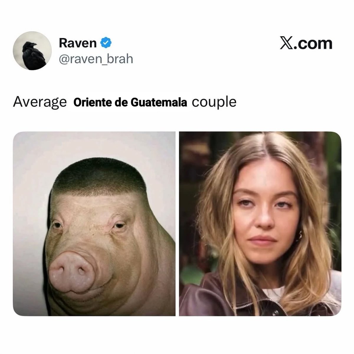 _luisensiado's tweet image. fr