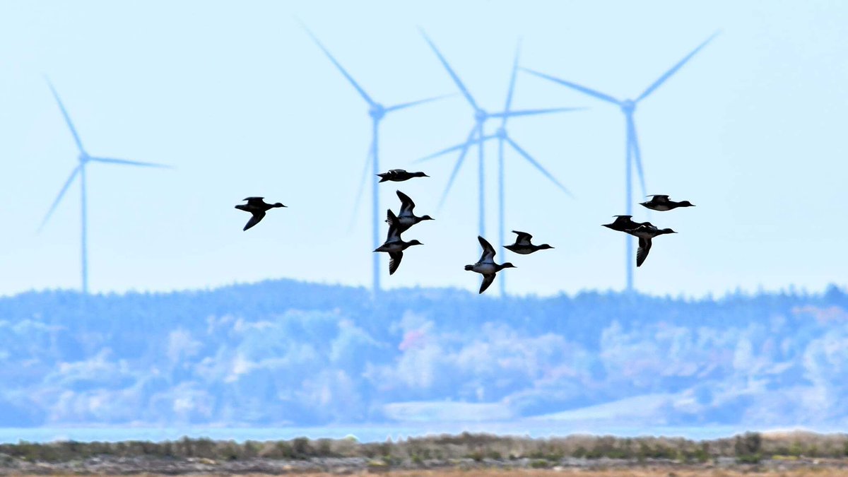 Saint John Energy tweet media