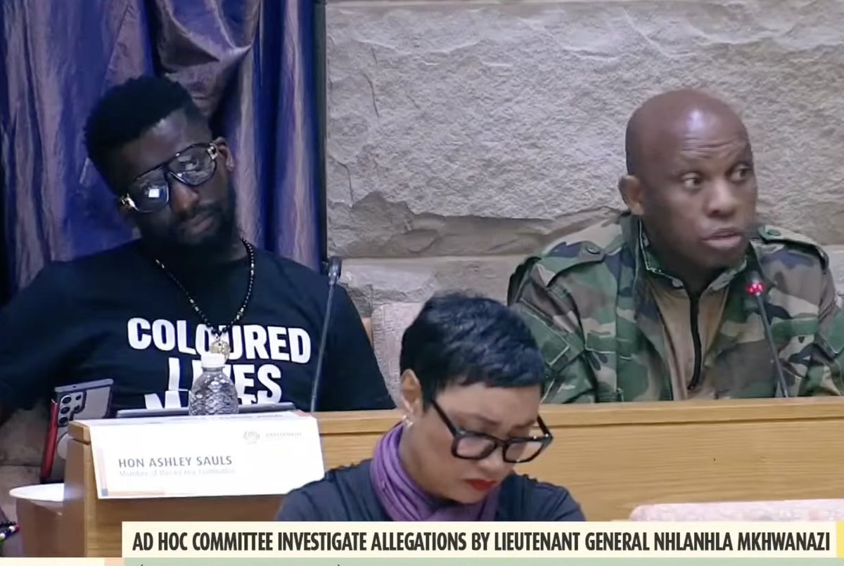 These two must never be seated next to each other in #AdHocCommittee  so we can spread the stupidity across the room and then maybe we can neutralize its power. Colossal time wasters. Absolute nonsense. 
#Mkhwanazi