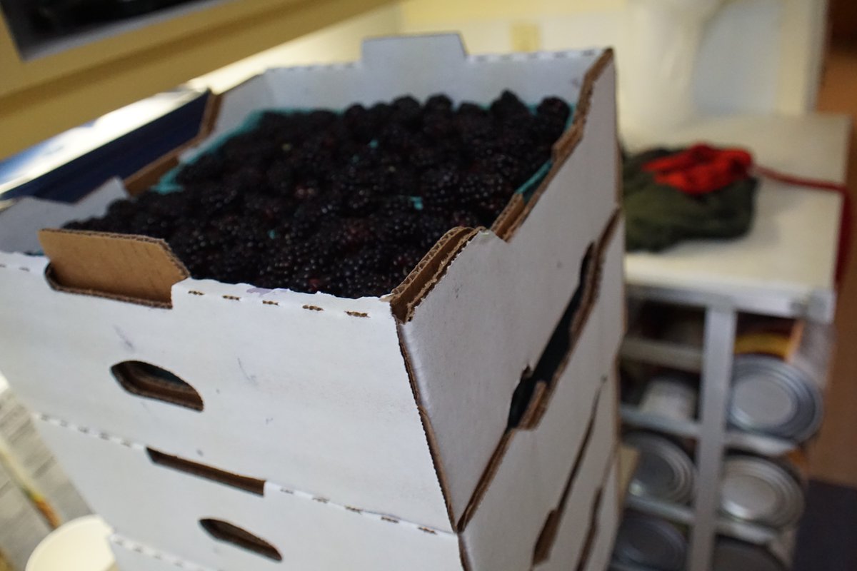 AHSNCState's tweet image. How can we make farm-fresh food easier for preschools to buy and sustainable for farmers? 🍎🌱

Researchers from @cefsnc and AHS tested strategies like group ordering and mobile markets to bridge the gap. 🚜🏫 Explore our new #localfood buying guides ⬇️ ow.ly/k2QF50XpJhi