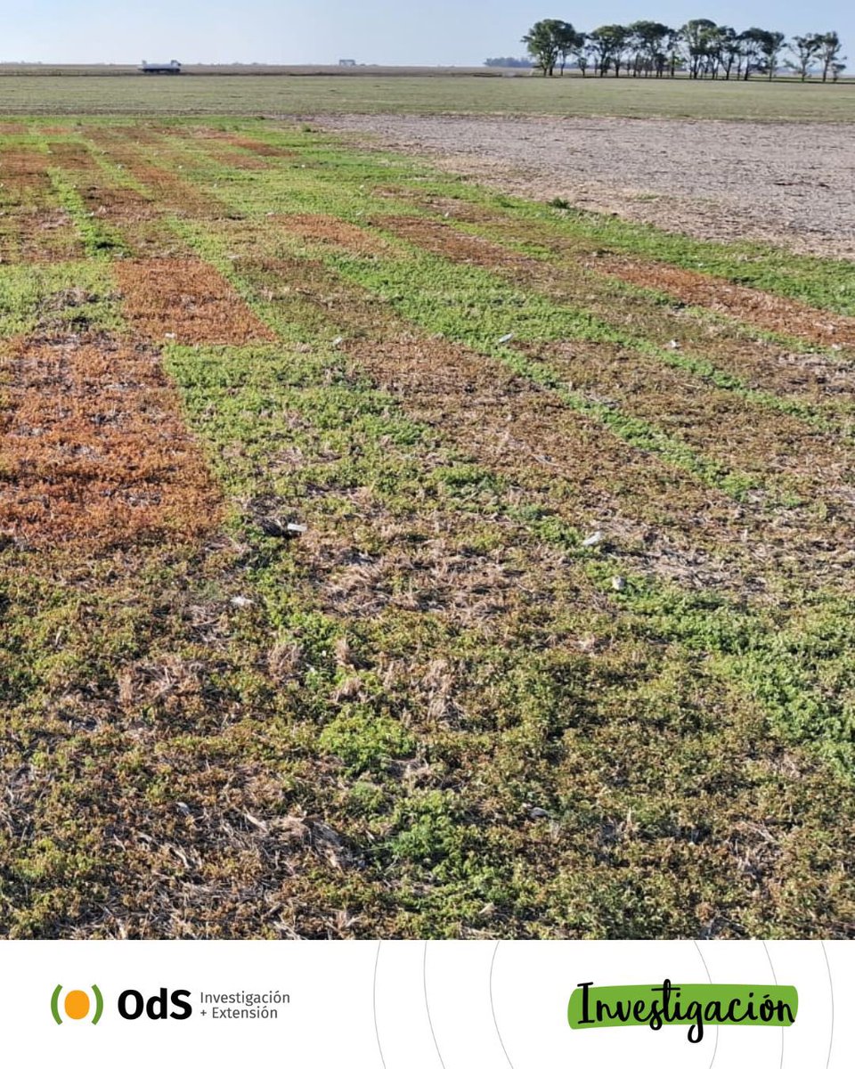 Ojos del Salado tweet media