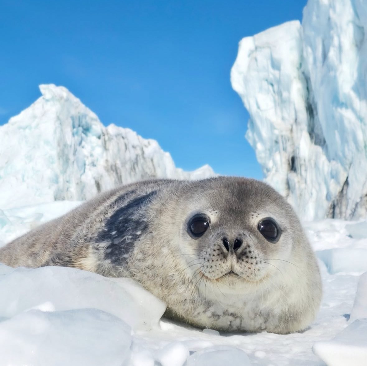 Vegas with the wife :3