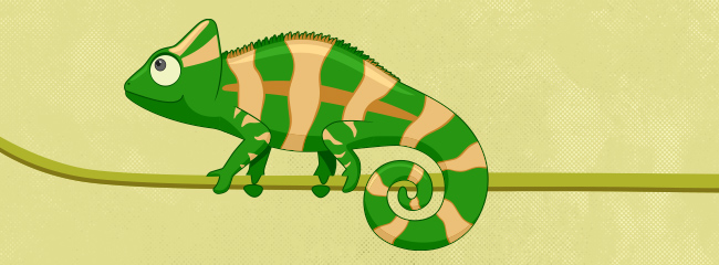 The best leaders aren’t just take-charge Eagles, visionary Parrots, supportive Doves, and quality-focused Owls. They are Chameleons—adaptable, aware, and ready to guide others the way they need to be led. That’s the key to true trust, loyalty, and lasting influence.