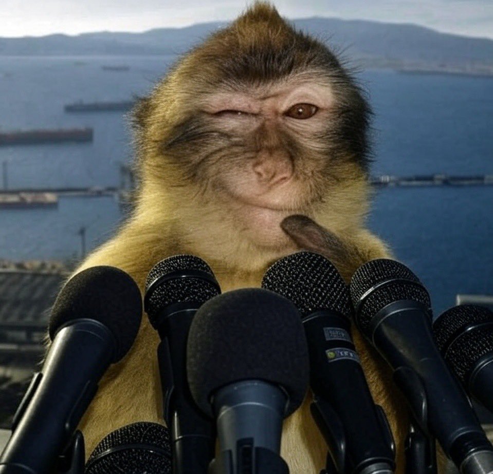 en ufak bi isimiz yolunda gittigi an biz maalesef