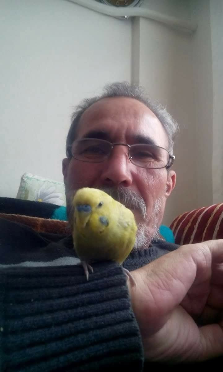 KralProfil01 tweet media