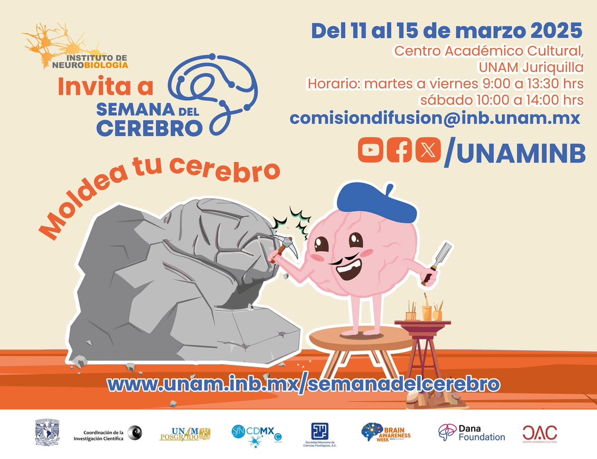 malagonanam's tweet image. I&apos;m thrilled to represent @UNAMINB at #SfN2025 at the Brain Awareness Campaign poster session next Saturday 15. 

Come and visit what we accomplished and how we make #Neuroscience accessible for all in Querétaro, México. 
#BrainAwarenessWeek @SfNtweets @IBROorg