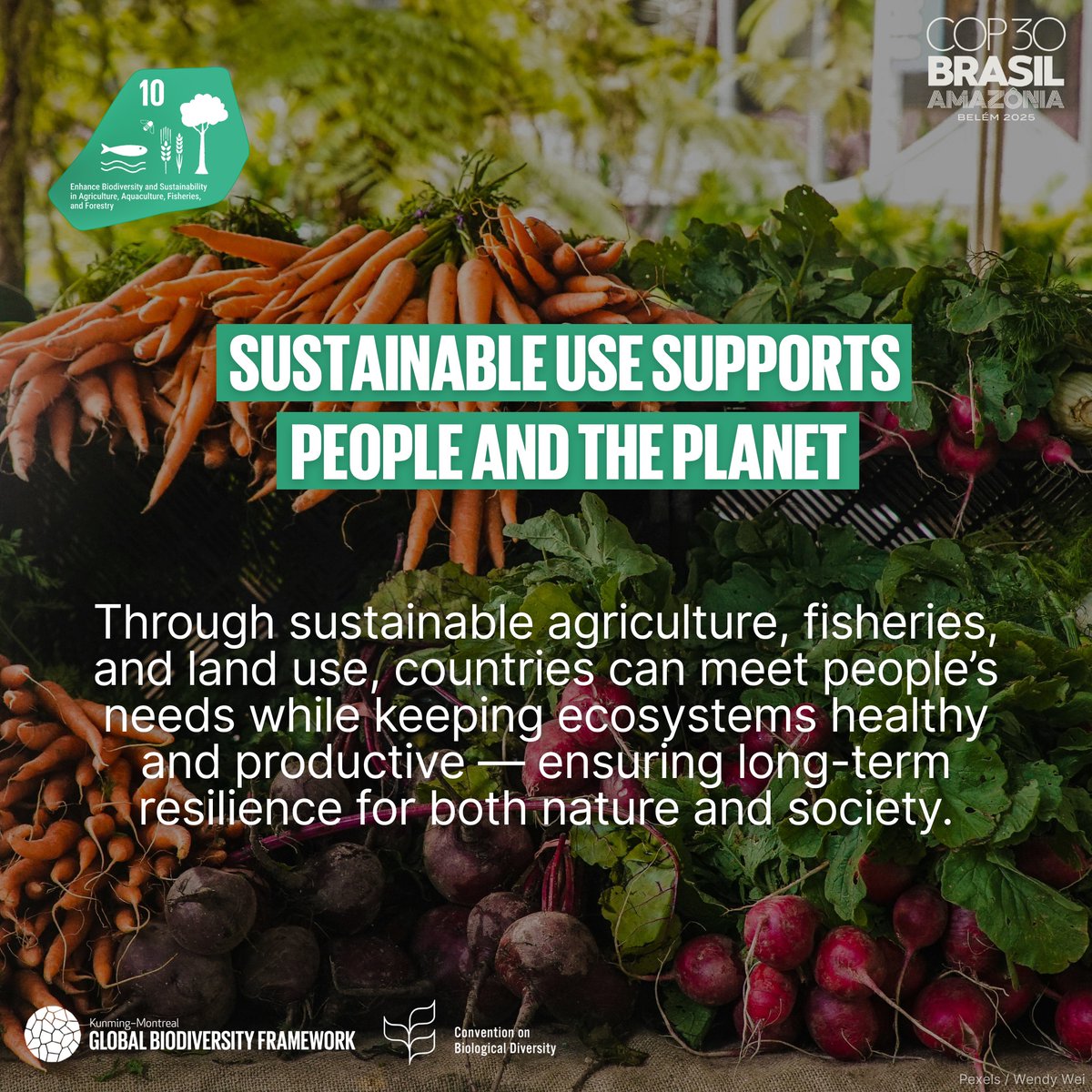 その他 ecologista The #KMGBF is more than a biodiversity plan — it is a roadmap for