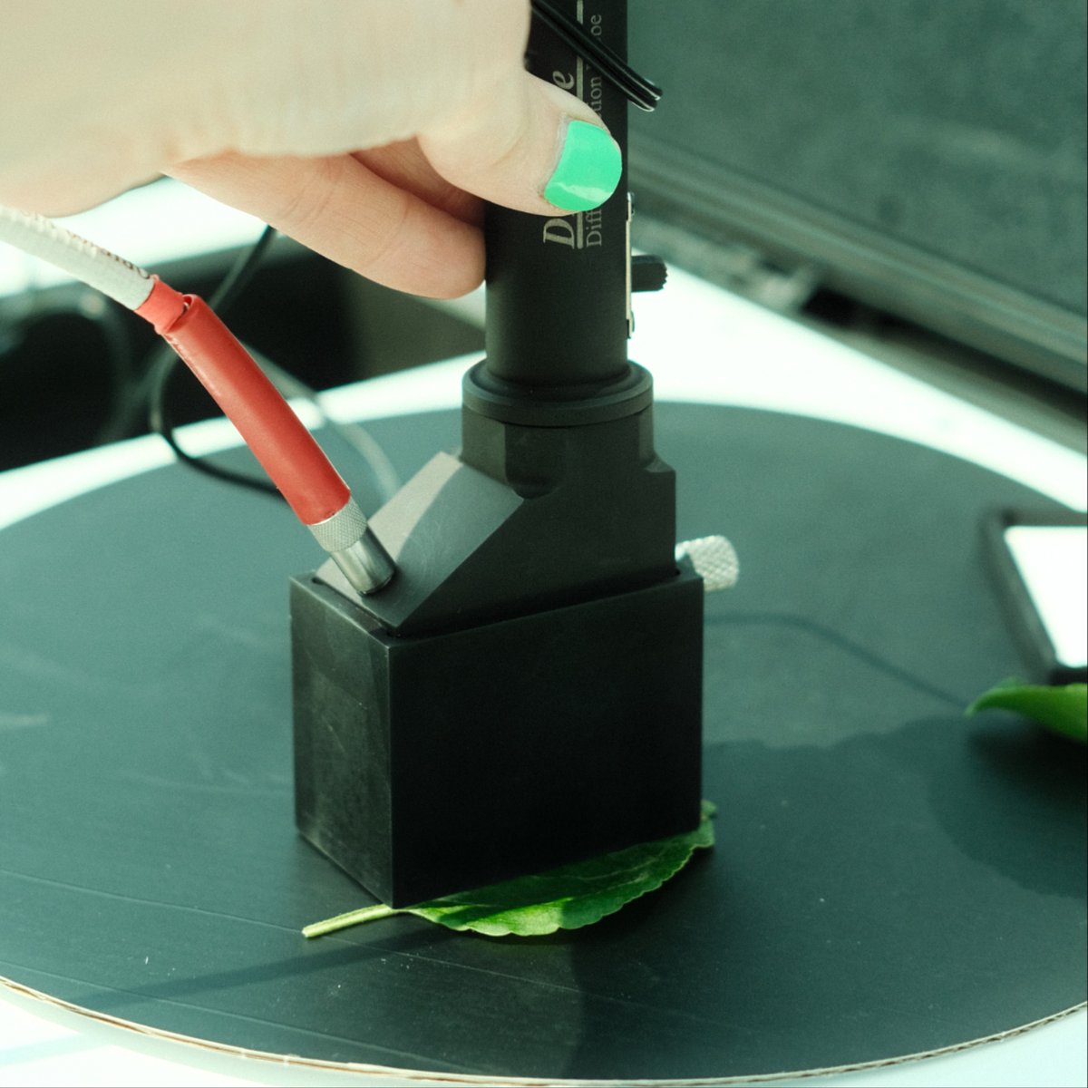 Stop waiting on lab results. The LENS gives instant nutrient data so you can manage crops with confidence. Learn more: picketa.com/secureyourlens

#Agronomy #CropNutrition #AgTech #PrecisionAg #Potato #Corn #Canola #Fertilizer #PlantAnalysis