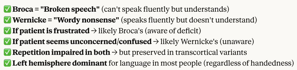 USMLEStepStudy's tweet image. BROCA&apos;S AREA - Inferior frontal gyrus (L. hemisphere)
Brodmann 44, 45, Near motor cortex controlling face/mouth/tongue; Speech production, Articulation motor planning, Grammar/syntax processing, Coordinates muscles for speaking; Damaged Broca&apos;s --&amp;gt; Non-fluent, expressive aphasia