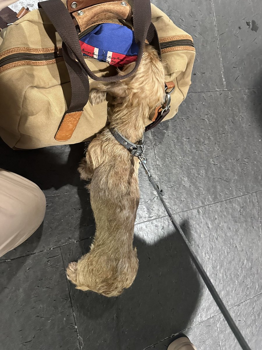 Met a Stan in the baggage hall at Oslo airport today!