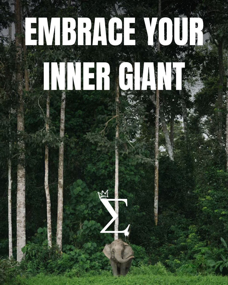 SigmaMeUp's tweet image. You were never meant to blend in.
Stand tall. Move with purpose.
Own your space, like the giant you are. 🐘

Drop a 💪 if you’re walking in your power today.
#Motivation #SuccessMindset