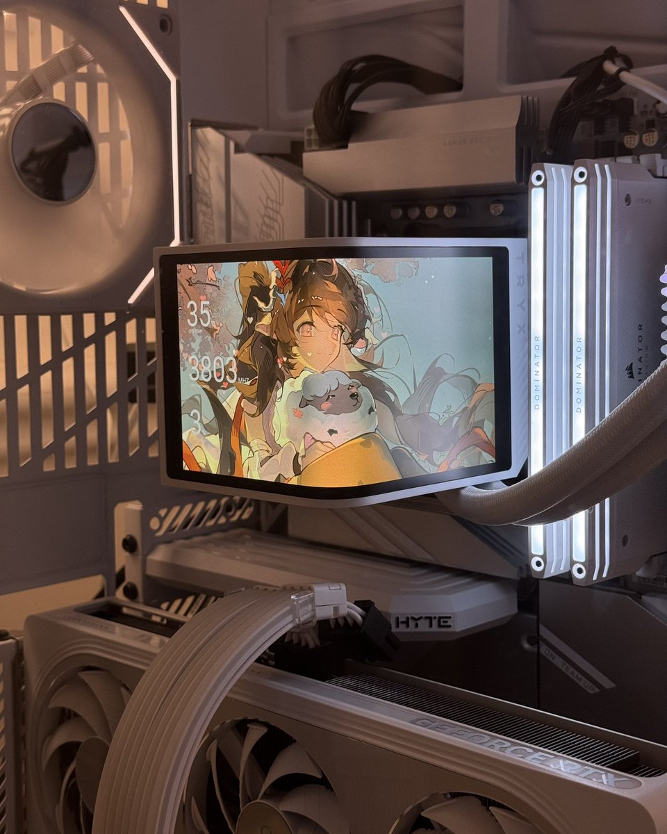 raideneill's tweet image. 