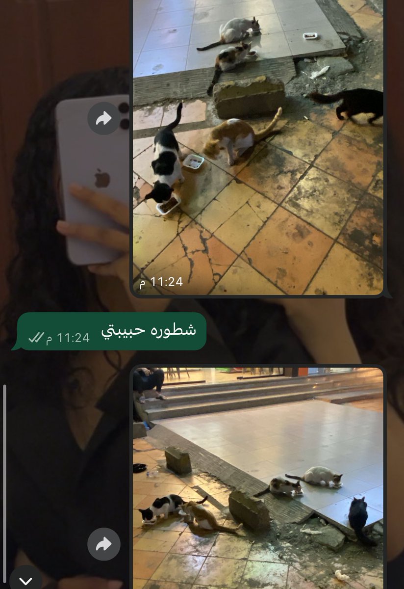 لا بس ذا جدولنا انا وحبيبتي كل م تقابلنا🥺🥺🥺❤️