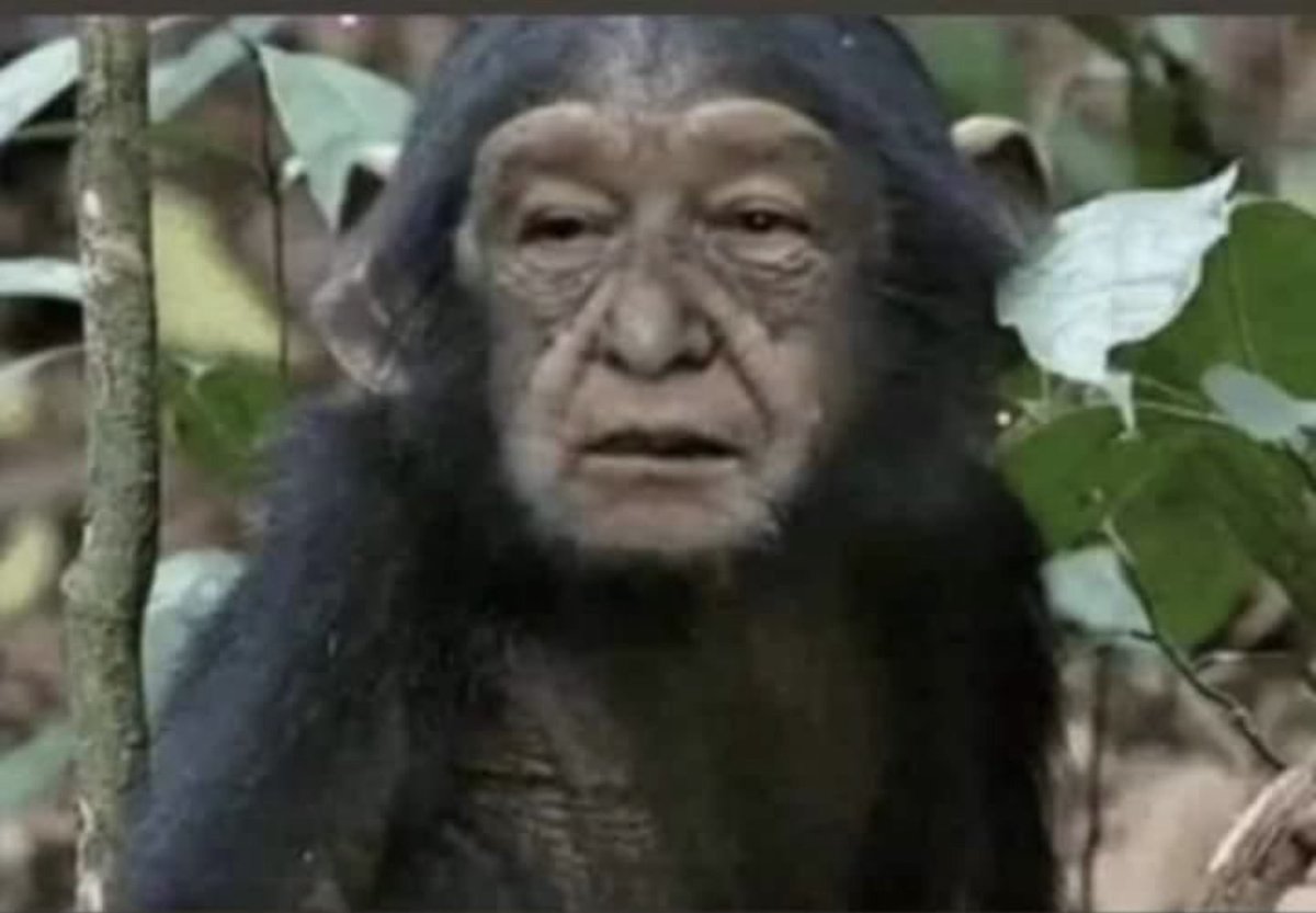 #EsUnHonorEstarConObrador