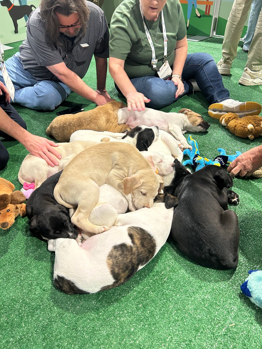 Perficient's tweet image. Our @Microsoft Business Applications team had an amazing time at Community Summit North America 2025 in Orlando!

Our experts showcased how Perficient helps organizations unlock the full potential of Dynamics 365 and Power Platform through smarter data, automation, and…