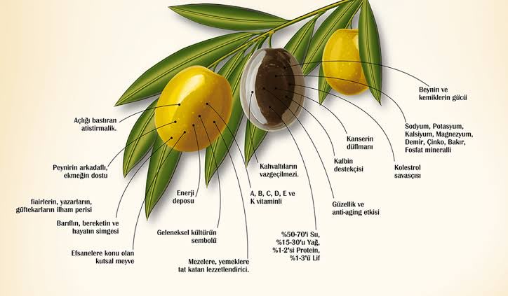 IhsanMerdanoglu's tweet image. Cumanız mübarek, dualarınız kabul olsun.@devapartisi