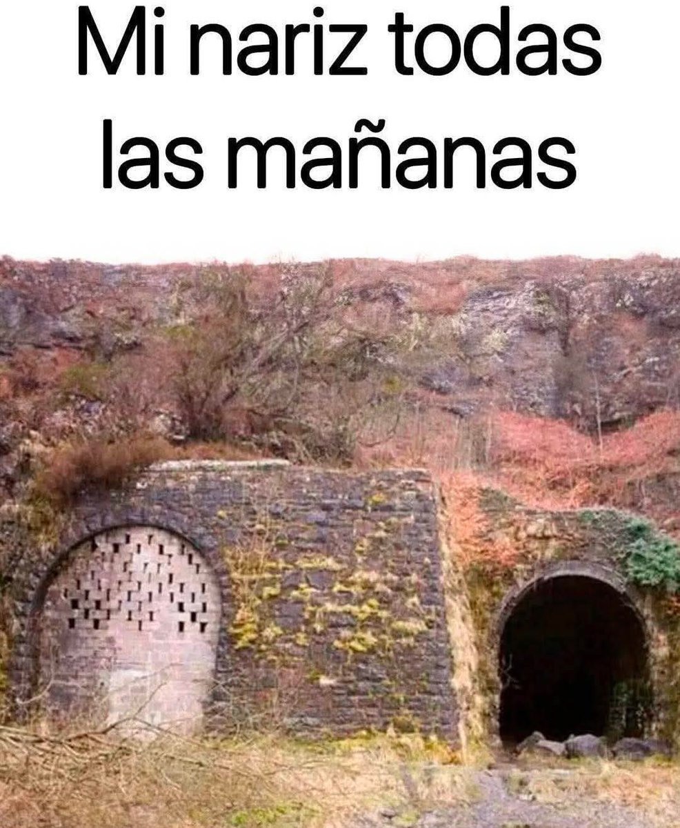 TuzitaMemeX (@tuzitaxtuitera) on Twitter photo 