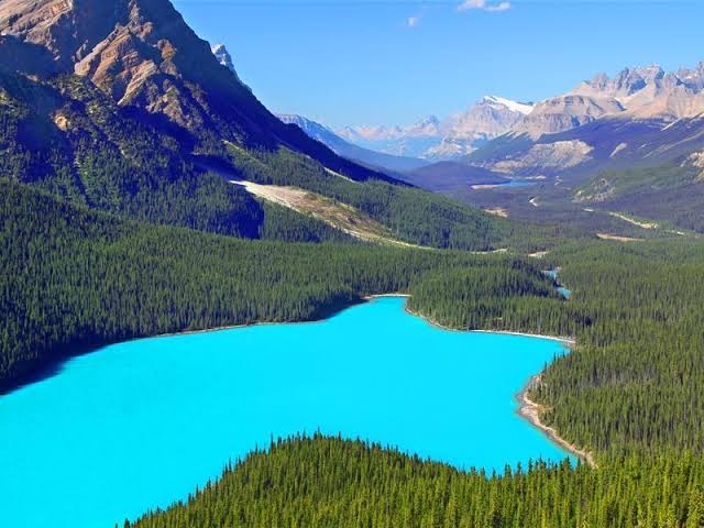 Sosscopemedia's tweet photo. Country more lakes than the  world combined?

This country has 563 lakes over 100 km — the highest number of any nation. It is Canada. #Facts #Gratefulhearts #myhappyplace #reflections https://t.co/MSYP4eO5pI