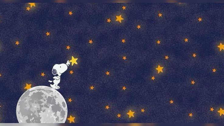 snoopy lover (@snoopyfever_) on Twitter photo 