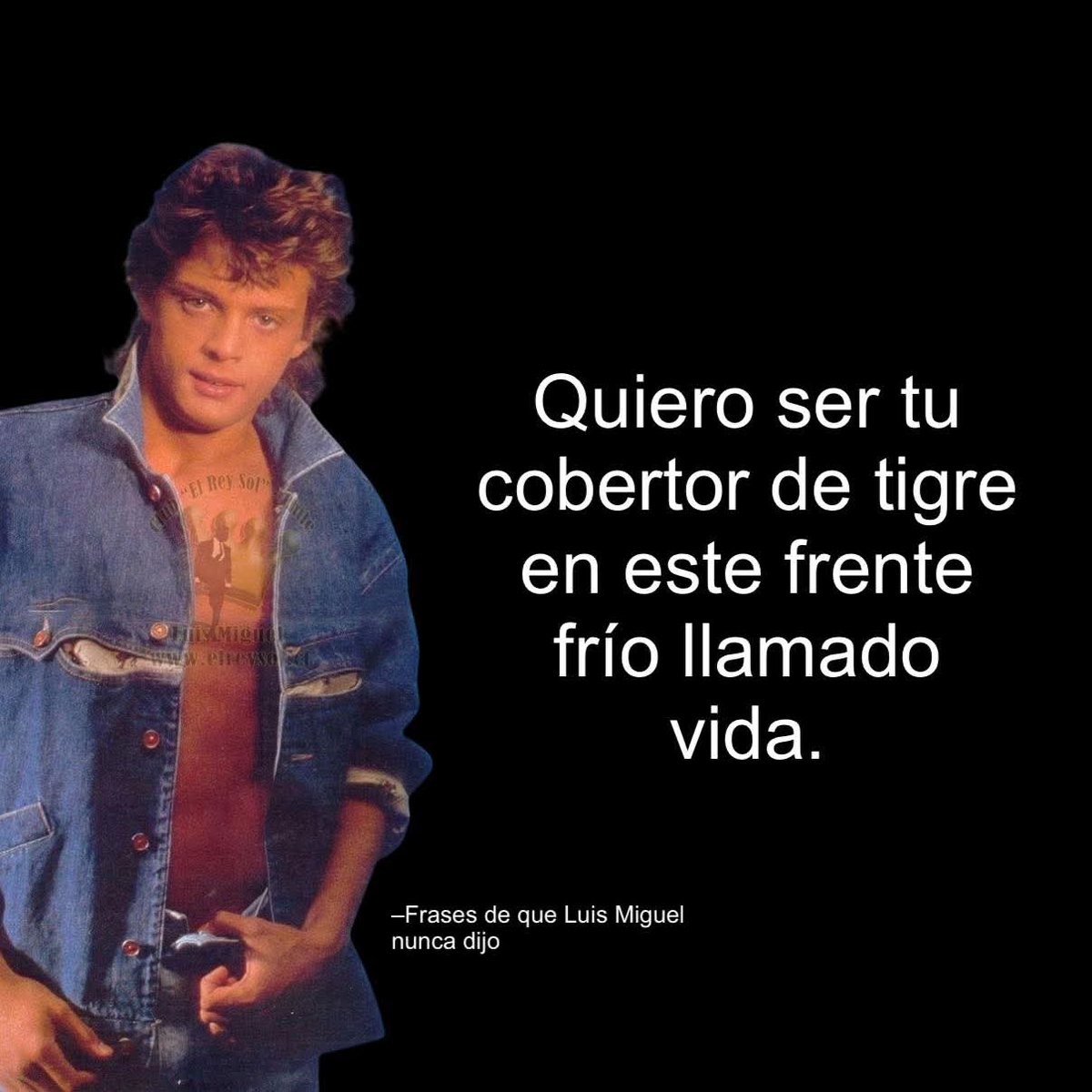 Un mentiroso que diga: