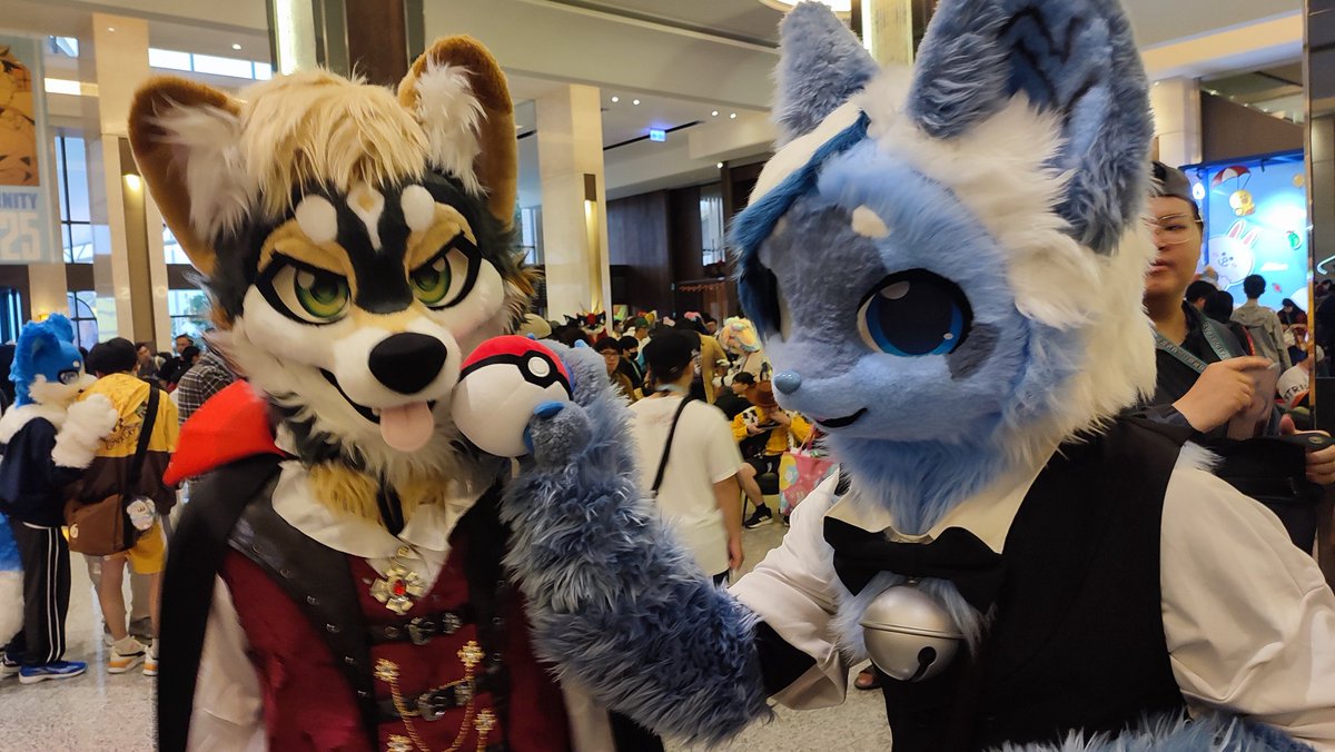 三次元乗貳貓 tweet media