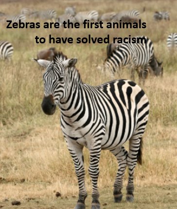 SlipizebraSPZ's tweet photo. Crypto traders be like:
“I’ll rest after I 100x.”
Meanwhile $SPZ holders: already sleeping and still earning. 😴💸
#Slipizebra #SPZ #CryptoMeme #DeFi https://t.co/zKZQccRScX