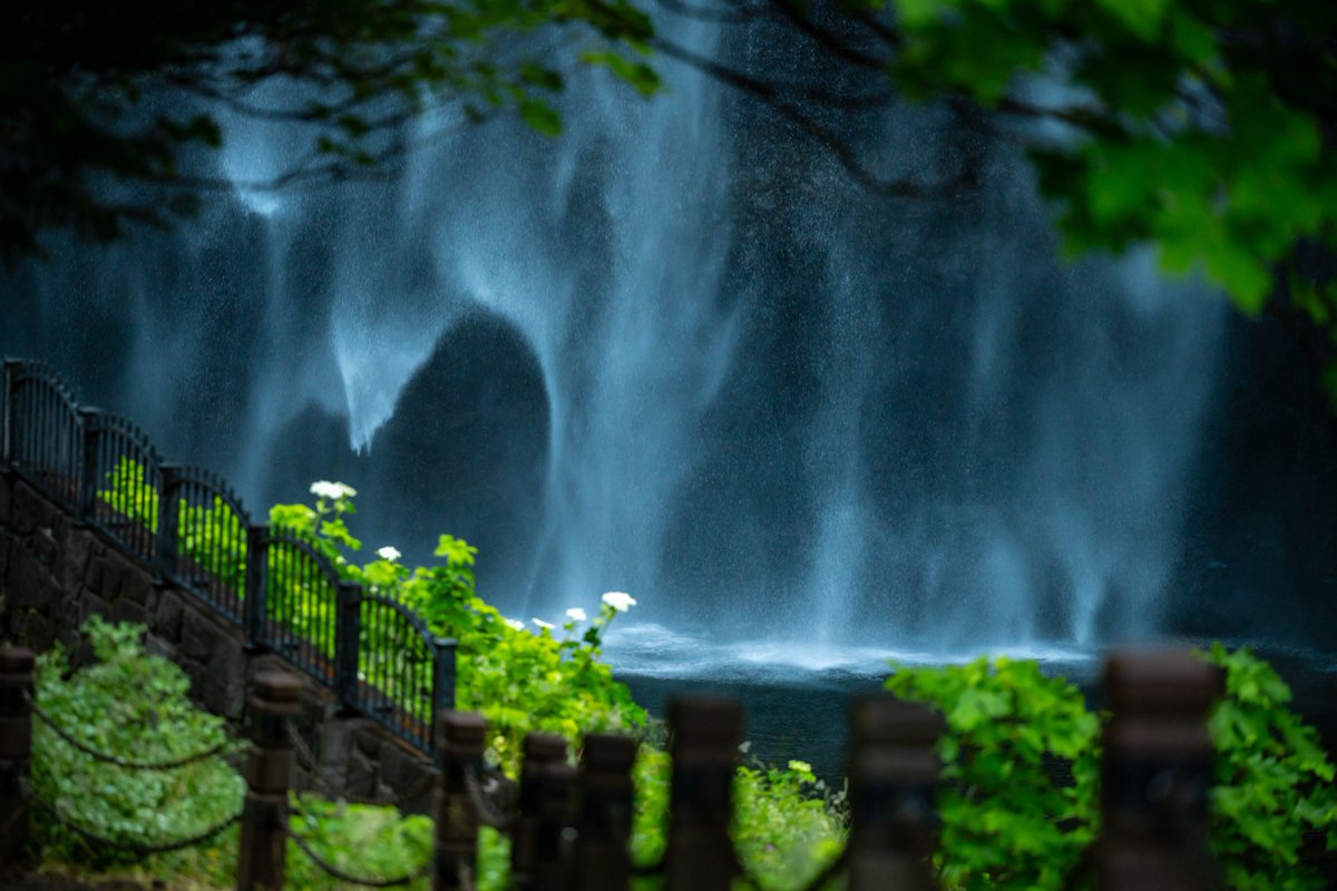 Post a photo you love ❤️