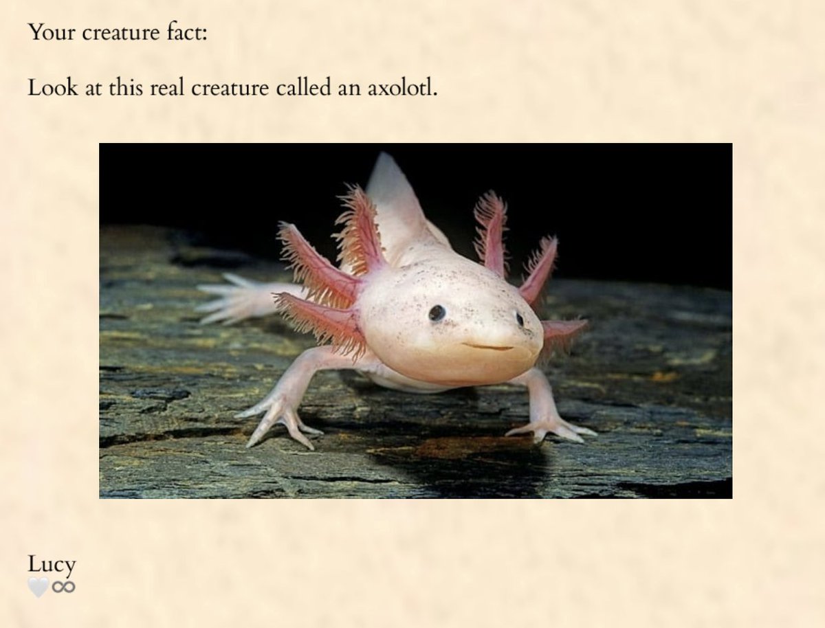 boygeniussource's tweet image. Lucy&apos;s creature fact via her email today! 🩷
