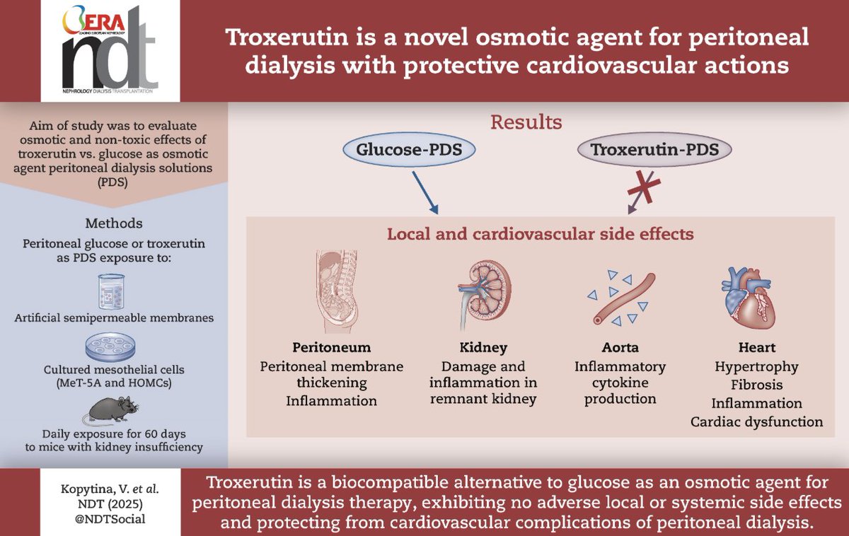 Now open access in <a href="/NDTsocial/">NDT</a>

Troxerutin is a novel osmotic agent for peritoneal dialysis with protective cardiovascular actions 

🧐Troxerutin emerges as a more biocompatible alternative to glucose as an osmotic agent for PD therapy

▶️academic.oup.com/ndt/article/do…