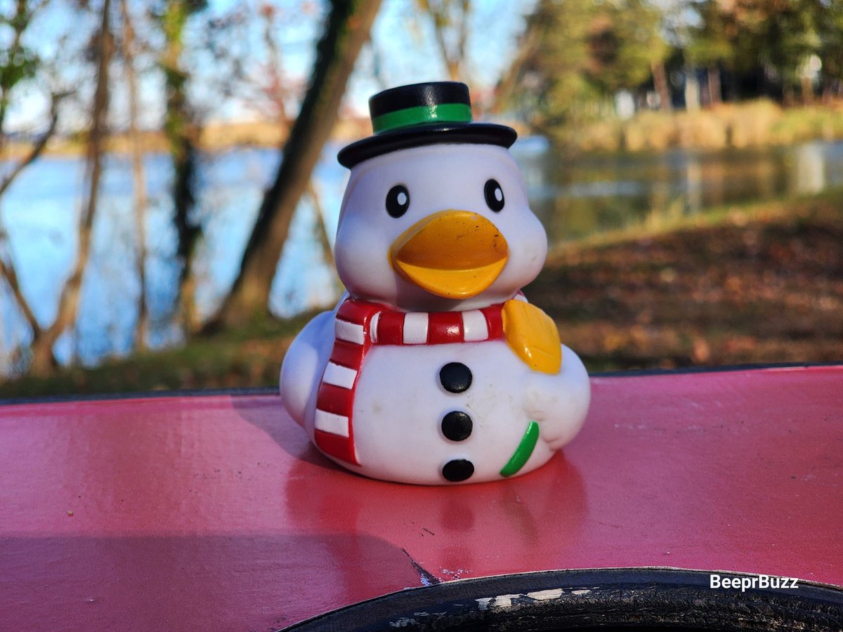 BeeprBuzz's tweet photo. Happy National Kindness Day.  

🌞 Be. Kind. Annapolis. 🐤

#NationalKindnessDay #Annapolis #BeeprBuzz https://t.co/rgpRmsp6ew