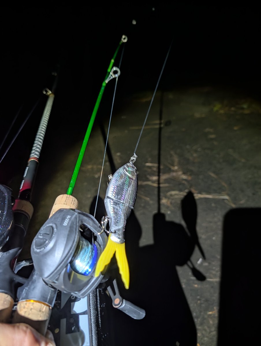 編集終わったので朝マヅメだけ（ ＾ω＾）