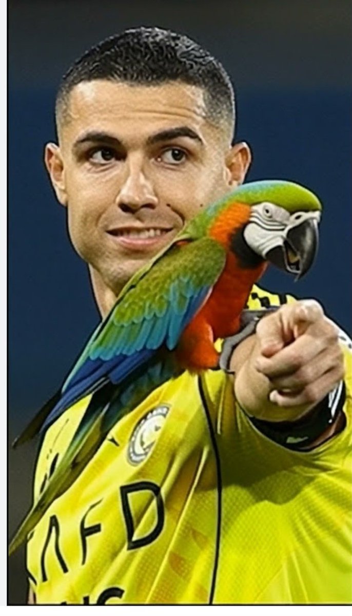 patrick manahan tweet media