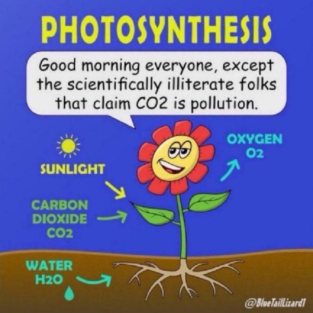 Globally we would benefit by having more CO2 in the atmosphere.

Scientists and researchers ran a series of experiments with the conclusion that:

1. CO2 does not raise the Earths temperature unless it is below -80 Celsius.

2. The only noticeable effect of higher emissions that