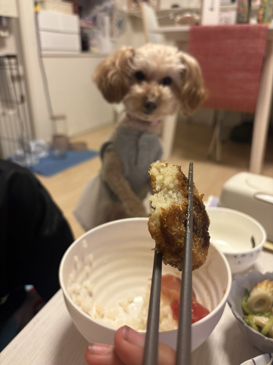 ともこさん 智子@12/7夜 BDワンマン開催！！ (@tomoko_121212) / Posts / X