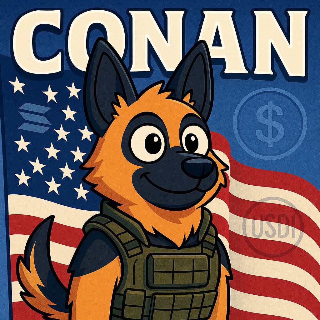 CONANUSD1's tweet photo. @CryptoPeakX Conan is waiting for you. 
S tier meme paired with usd1 https://t.co/XDD2uvwIE4