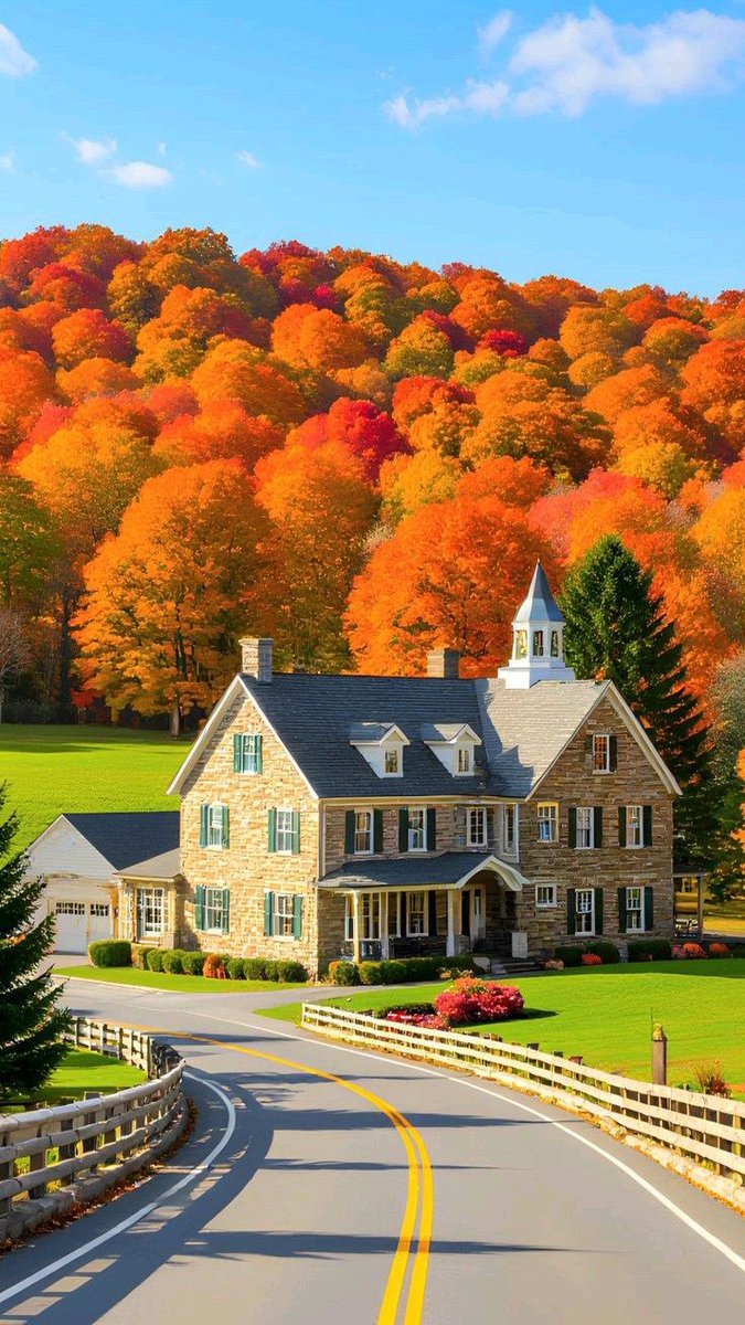 ꒰ ͜͡➸ ❤ A̫̫L̫̫E̫̫S̫̫X̫̫I̫̫A̫̫ ꒰ ͜͡➸❤ tweet media