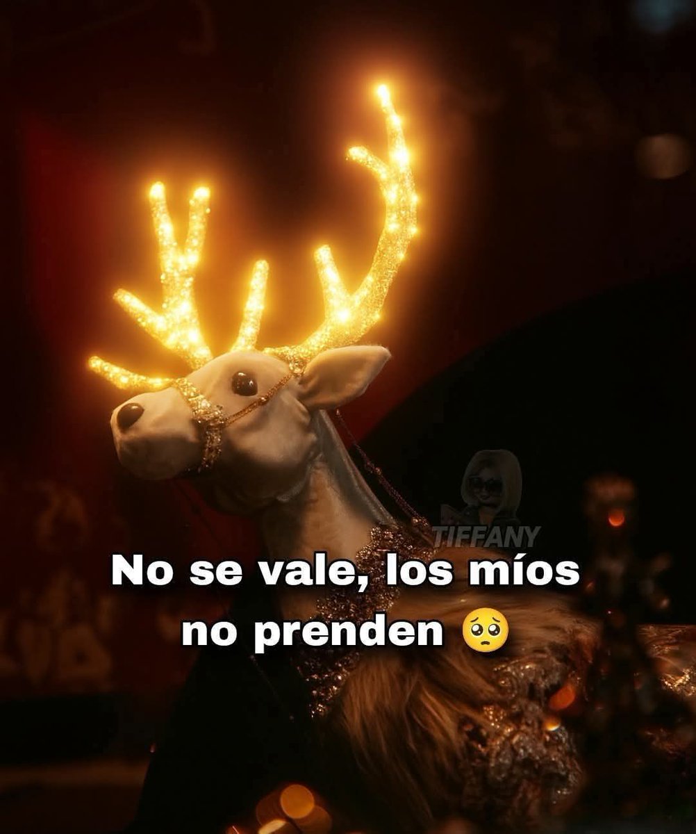 TuzitaMemeX (@tuzitaxtuitera) on Twitter photo 