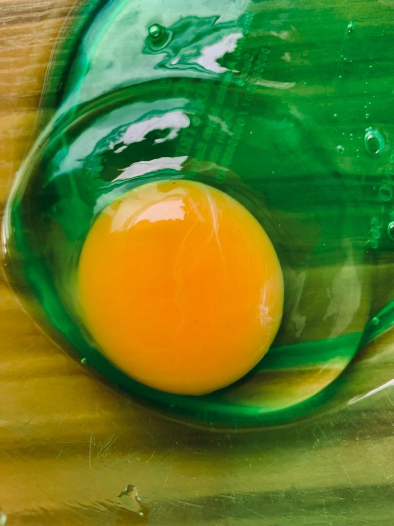 Zeem_Miles's tweet image. 💛💛💛

@MTNNG

#YelloTide
#YelloDecember
#DecemberVibes