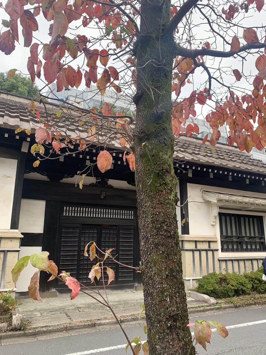 myao_my1's tweet image. #charmy散歩

おはようございます🍂よい一日を

#キリトリセカイ