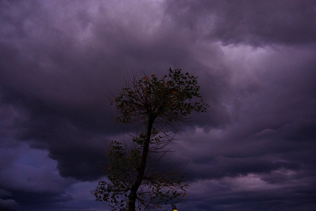 Yoshizo (@huerumegane) on Twitter photo 