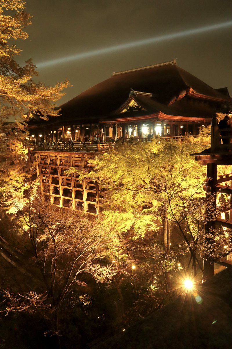 DeliciousTaylormade 清水の舞台 DeliciousTaylormade 清水の舞台 DeliciousTaylormade 清水の舞台 楽器