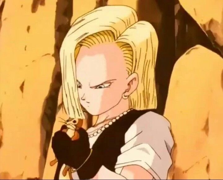 Daily_Android18's tweet image. 