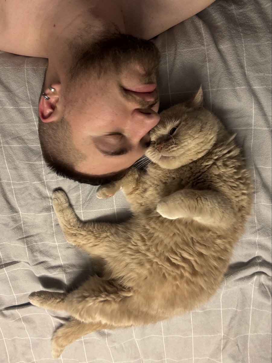 volodingram's tweet image. Love is