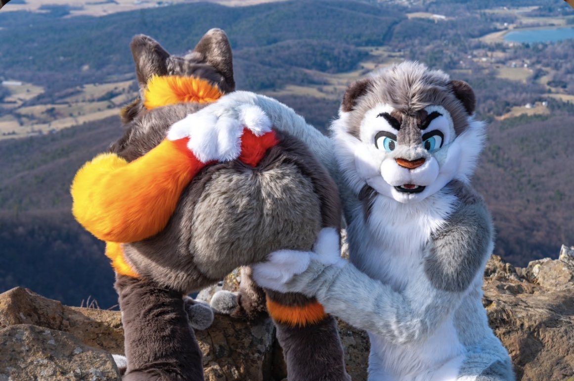 fursuitbum's tweet photo. https://t.co/gPGhA4JUMB