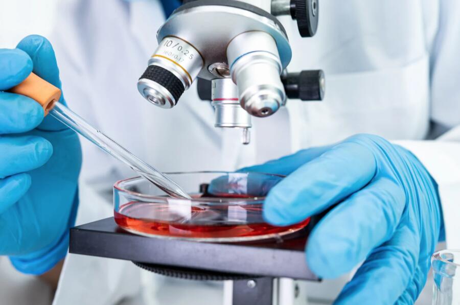 L'important tweet media