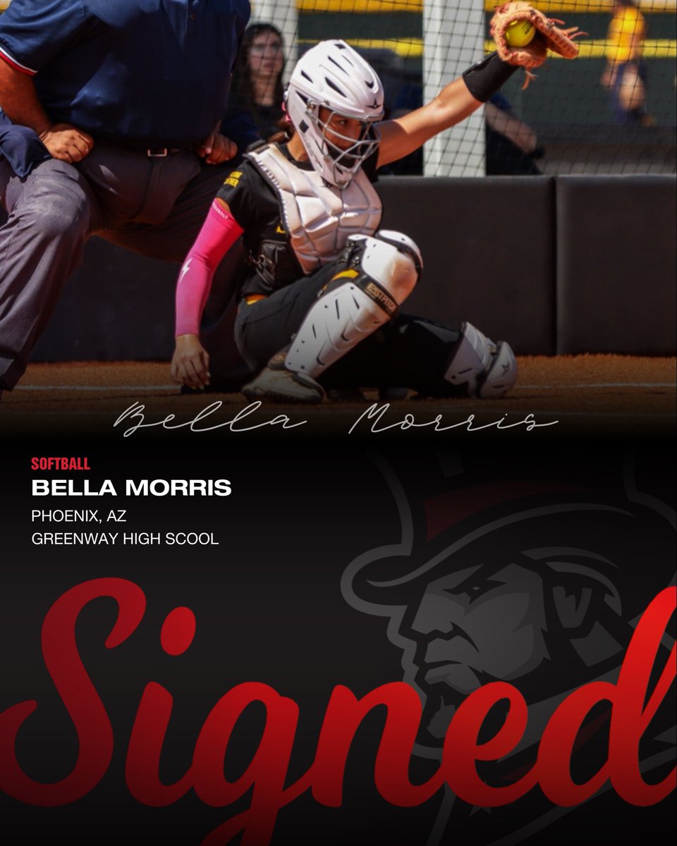 SenatorNation tweet media